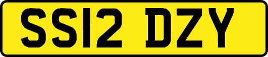 SS12DZY