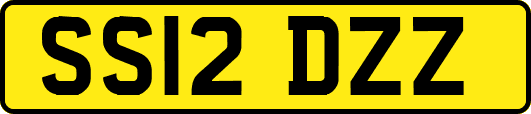 SS12DZZ