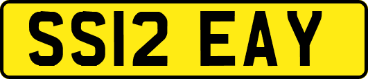 SS12EAY