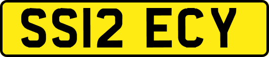 SS12ECY