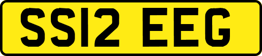 SS12EEG
