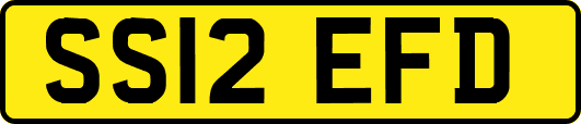SS12EFD