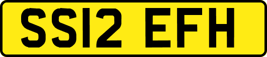 SS12EFH