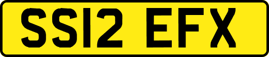 SS12EFX