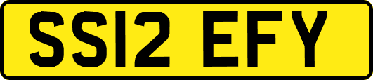 SS12EFY