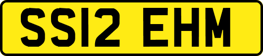 SS12EHM