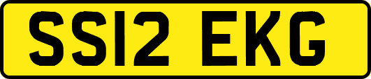 SS12EKG