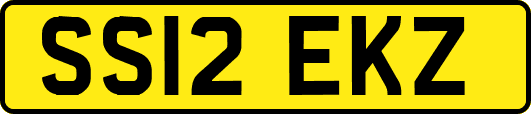 SS12EKZ