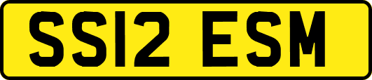 SS12ESM