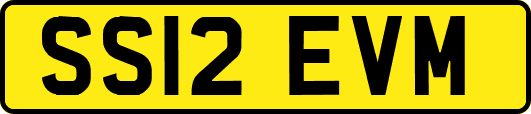 SS12EVM