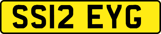 SS12EYG