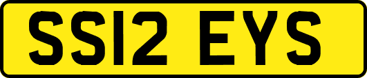 SS12EYS