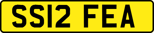 SS12FEA