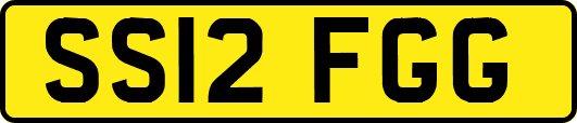 SS12FGG