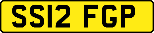 SS12FGP