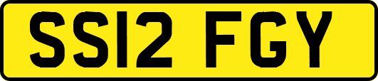 SS12FGY