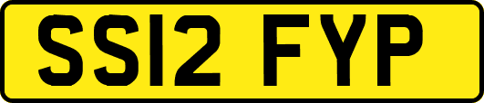 SS12FYP
