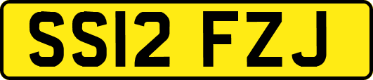 SS12FZJ