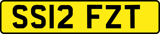SS12FZT