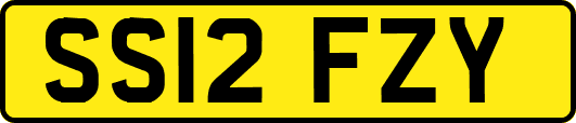 SS12FZY