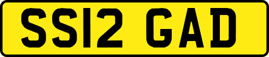 SS12GAD