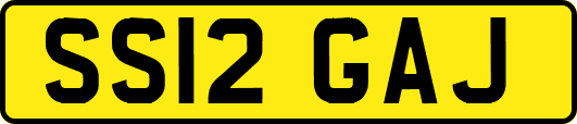 SS12GAJ