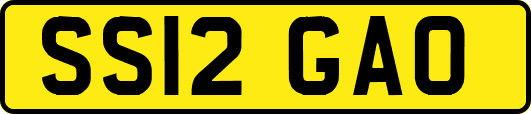 SS12GAO