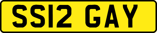 SS12GAY