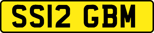 SS12GBM