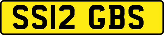 SS12GBS