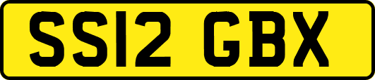 SS12GBX