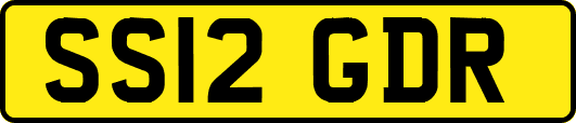 SS12GDR