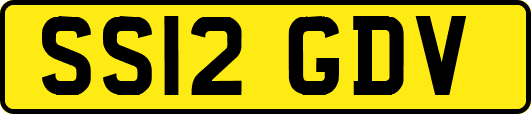 SS12GDV