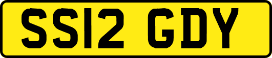 SS12GDY