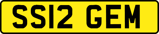 SS12GEM