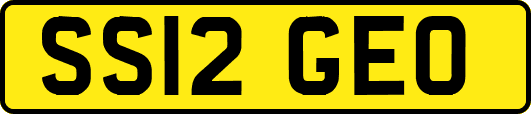 SS12GEO