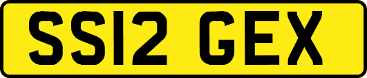 SS12GEX