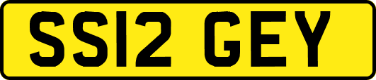 SS12GEY