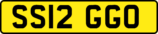 SS12GGO