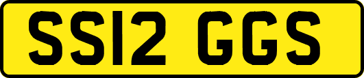 SS12GGS