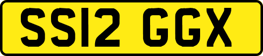SS12GGX