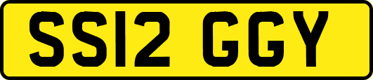 SS12GGY