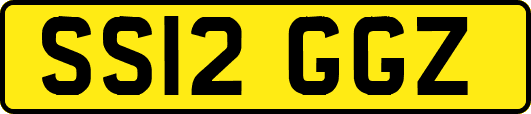 SS12GGZ