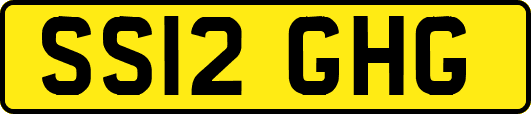 SS12GHG