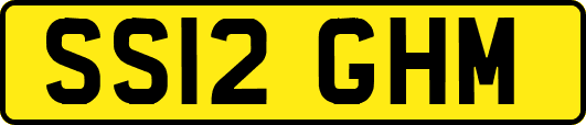 SS12GHM