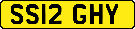 SS12GHY