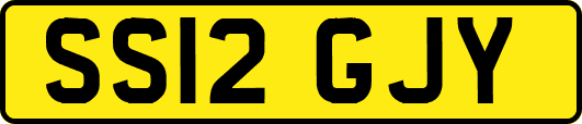 SS12GJY