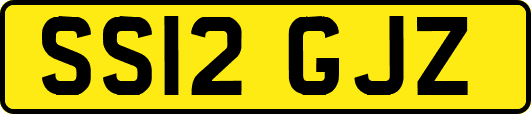 SS12GJZ