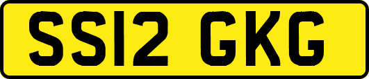 SS12GKG