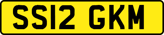 SS12GKM